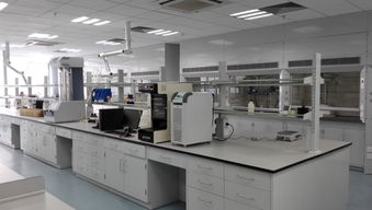 工業(yè)凈化與實驗設(shè)備 包頭鋼木通風柜與全鋼實驗臺廠家的專業(yè)指南